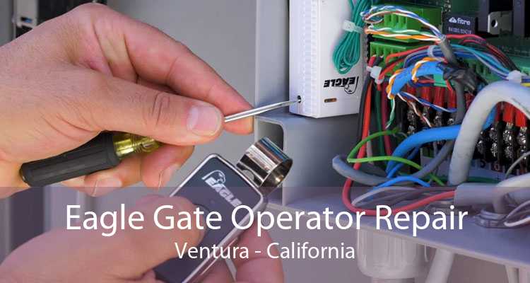 Eagle Gate Operator Repair Ventura - California